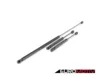 Hood And Trunk Strut Kit