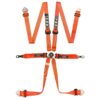 TRS Porsche Quick Adjuster 6-Point Ultralite FIA Harness